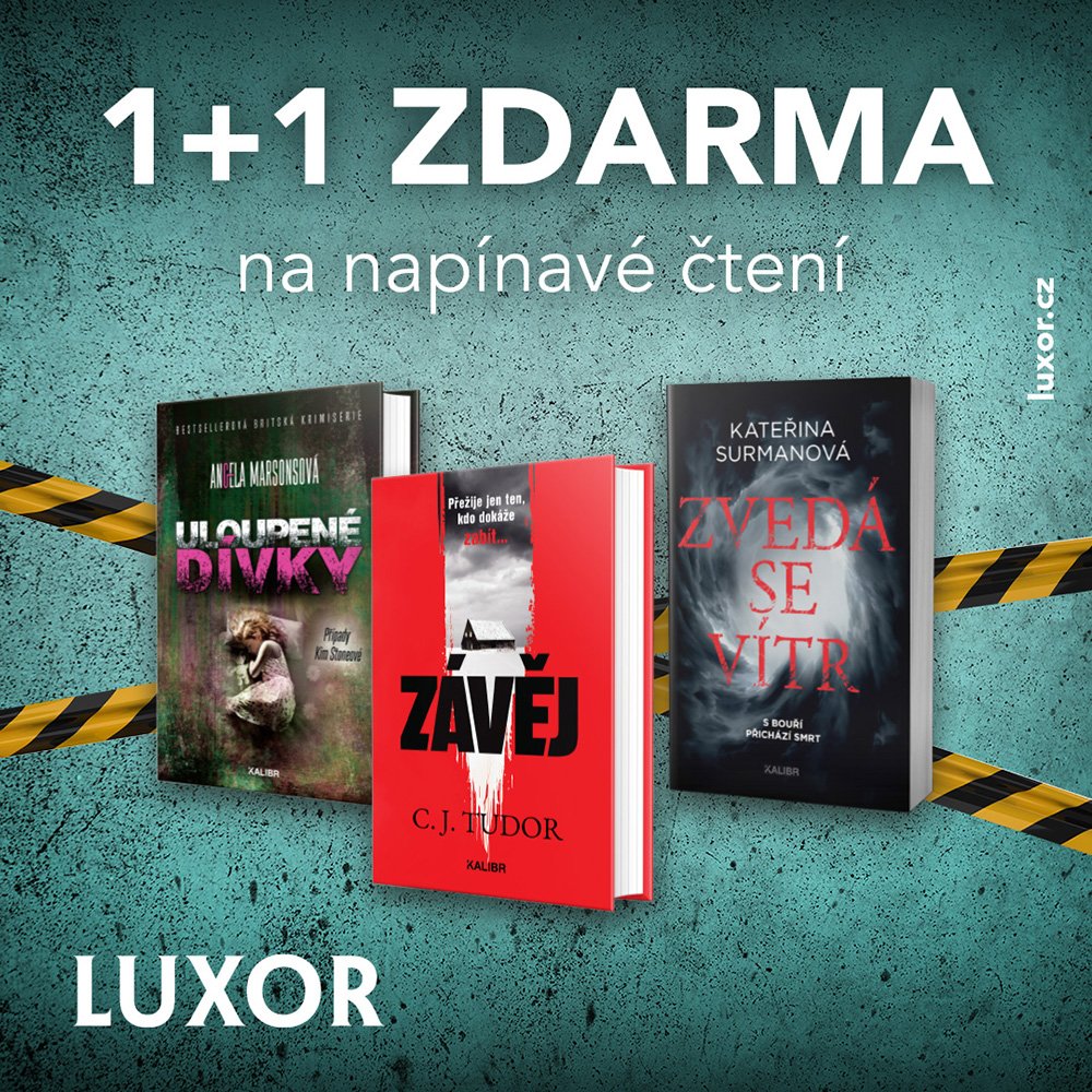 poster - 1+1 FREE for exciting reading