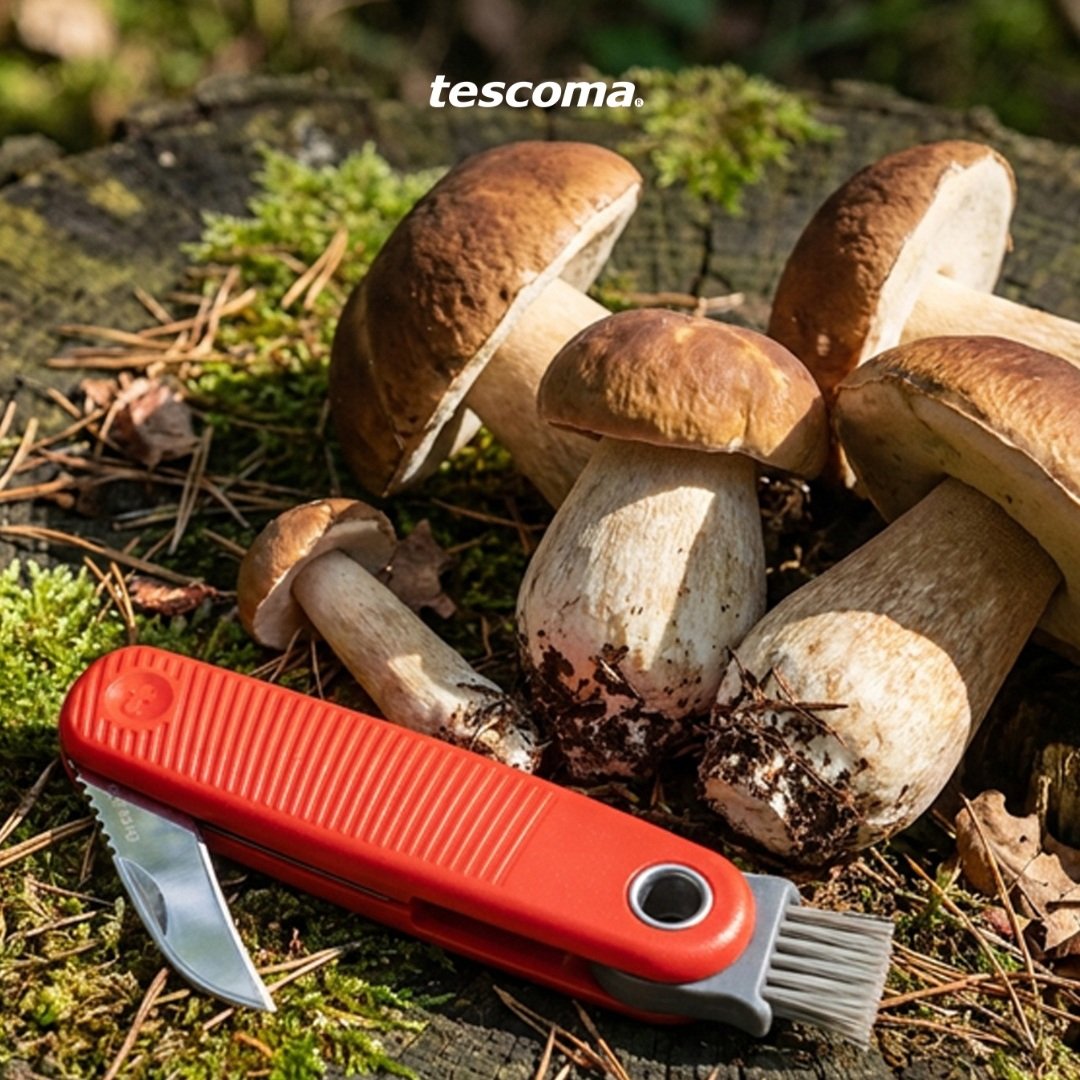poster - MOVE Mushroom Pocket Knife