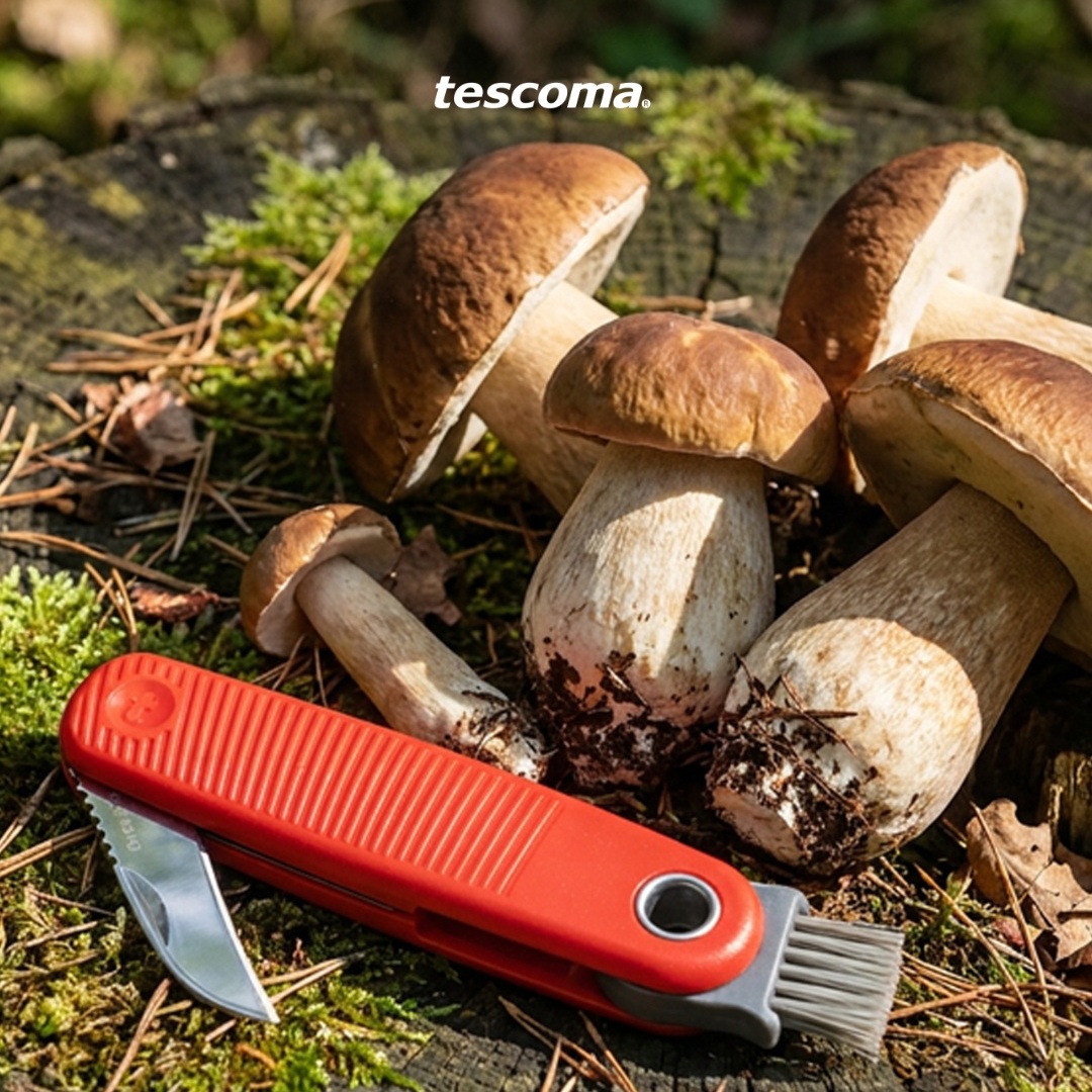 MOVE Mushroom Pocket Knife