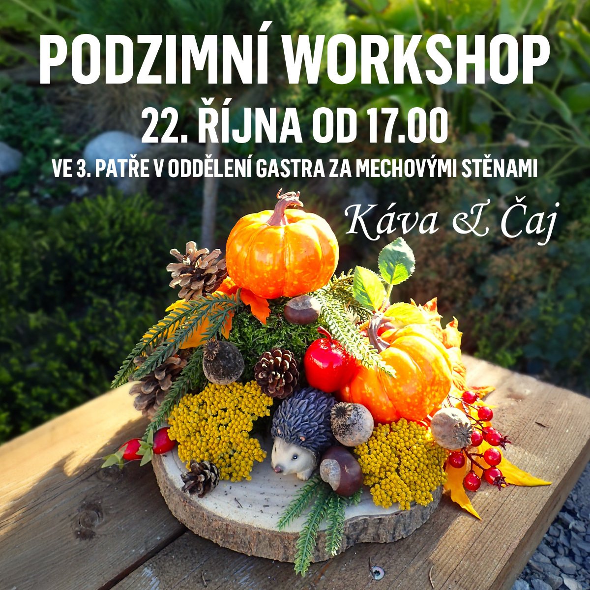 poster - Podzimní workshop