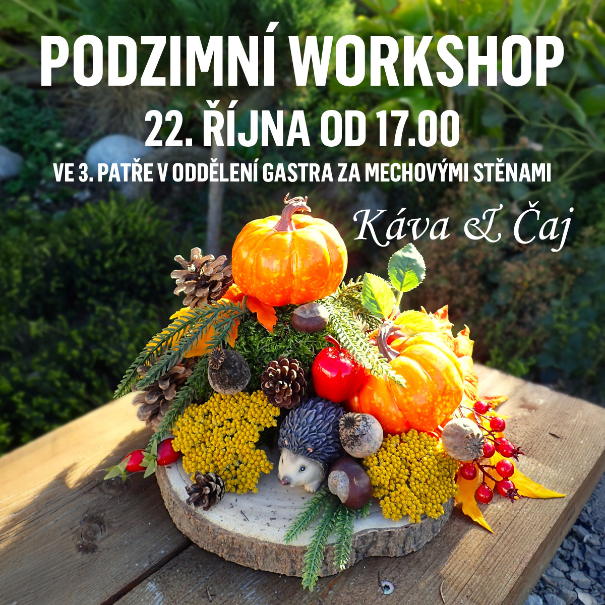 Podzimní workshop