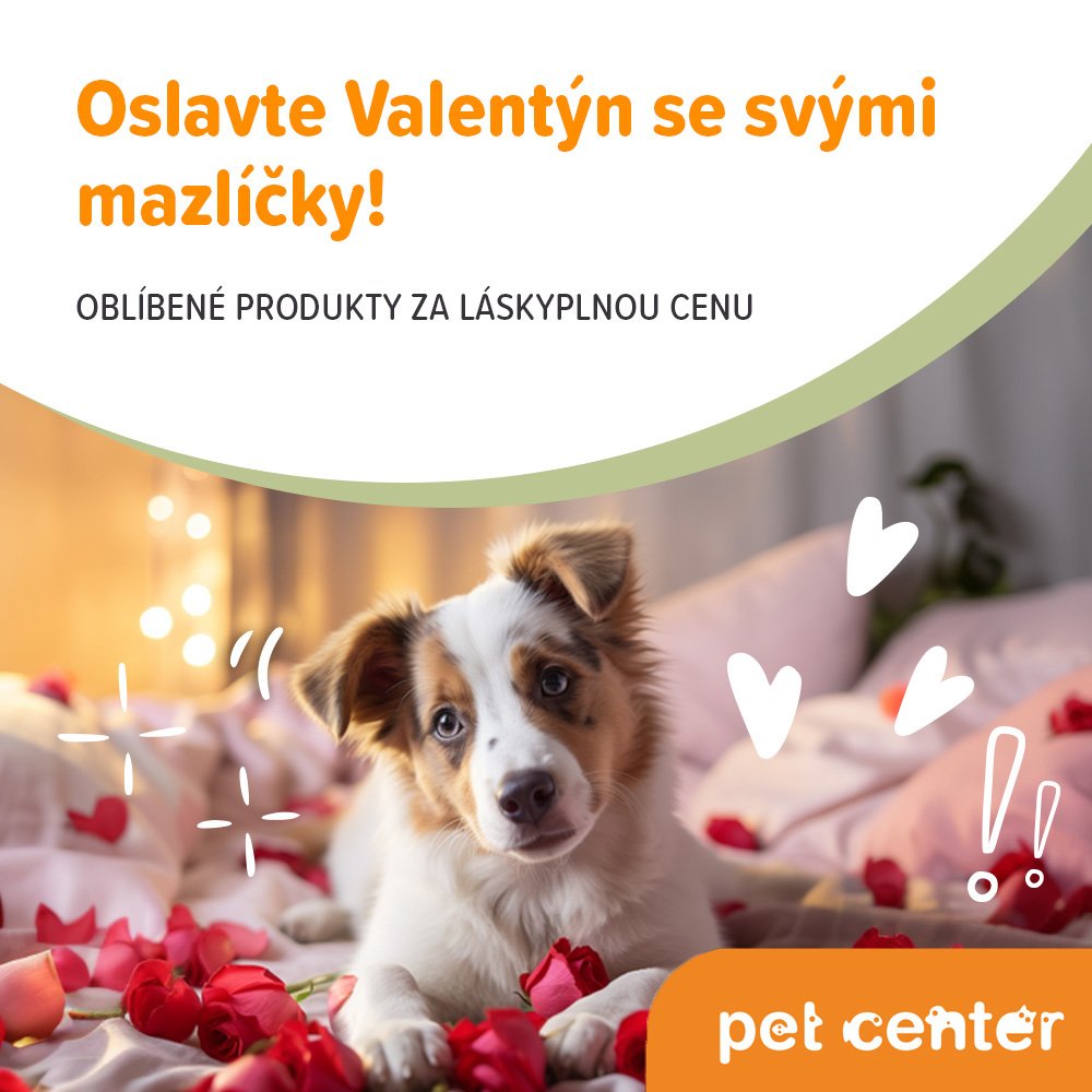 Láska prochází žaludkem!