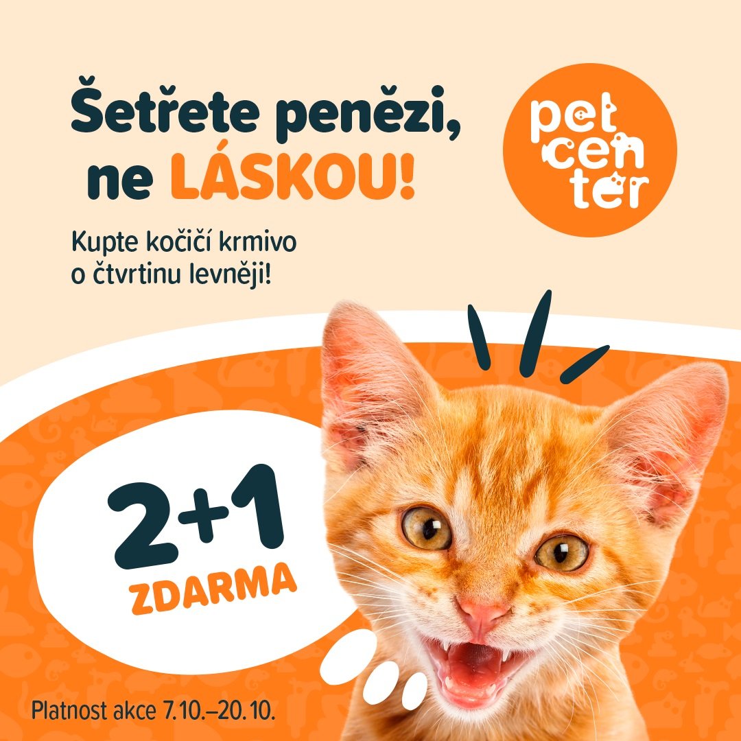 Akce kočka 