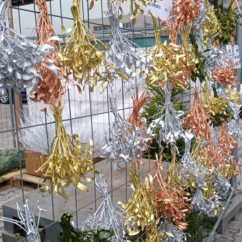 poster - Prodej vánočních stromků