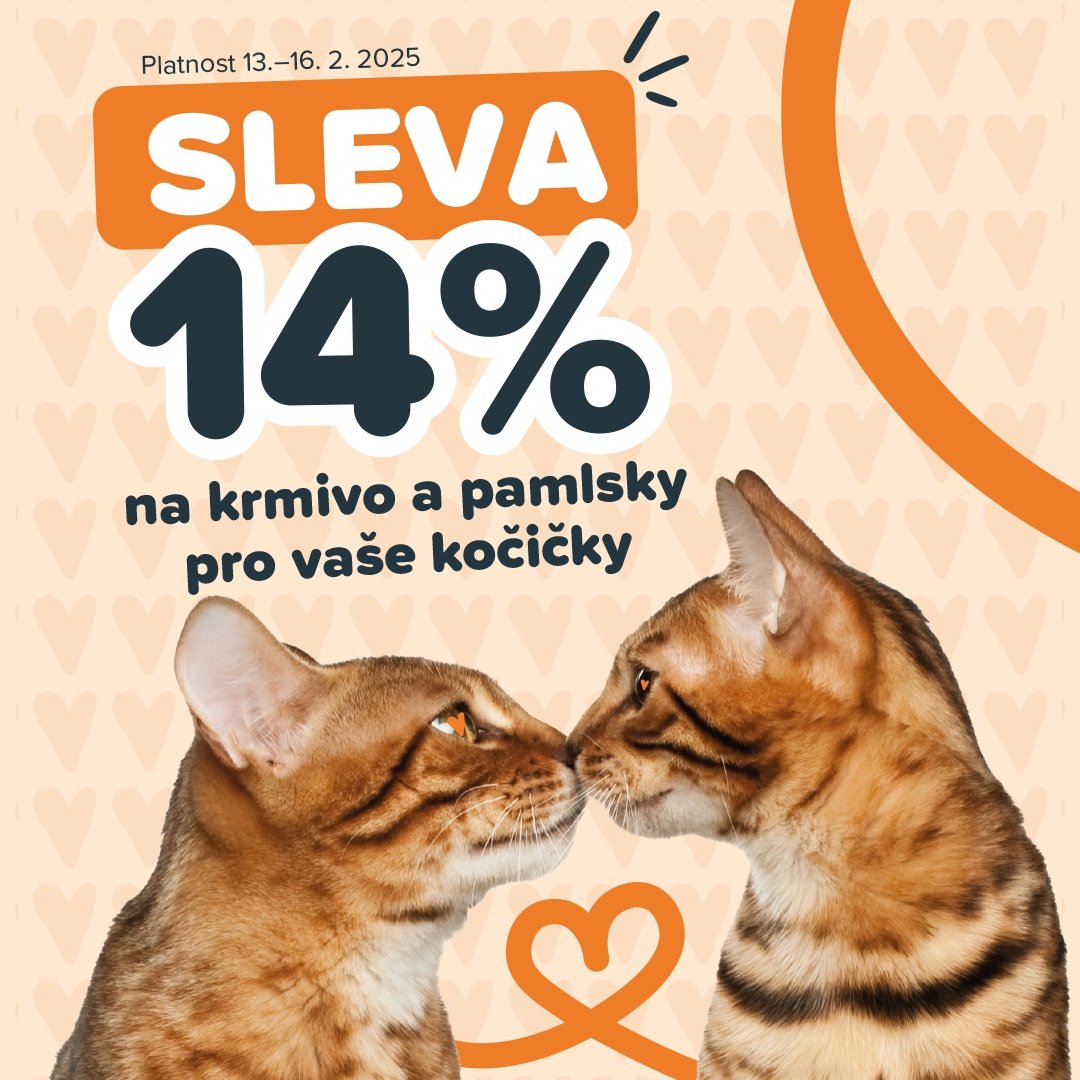 Máme rádi kočičky!