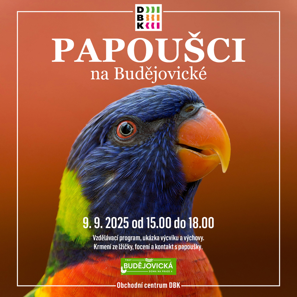 Papoušci na Budějovické